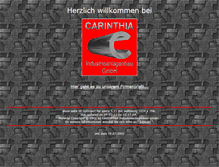 Tablet Screenshot of carinthia.de